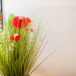Apartment Lovely Near Airport *